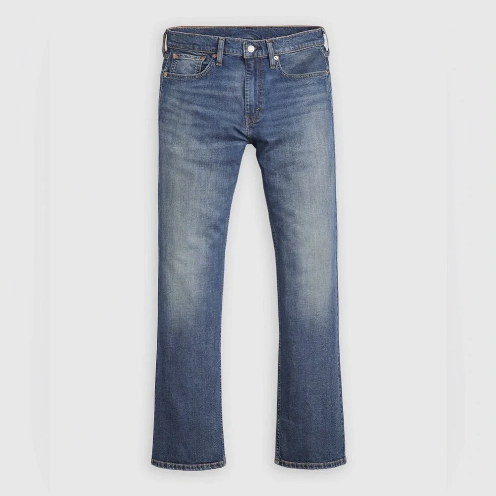 Levi's Men's Straight Jeans in Blue